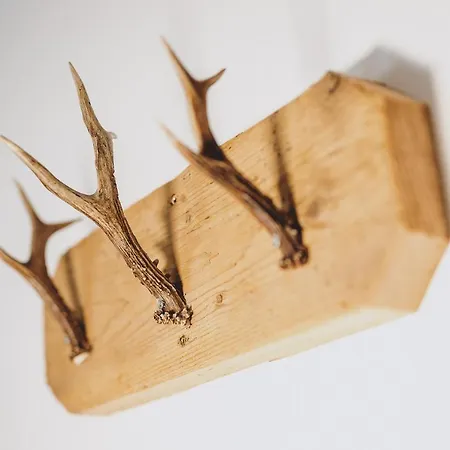 Badia By We Rent * Zell am See